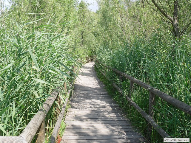 Radweg aren/M-Röbel