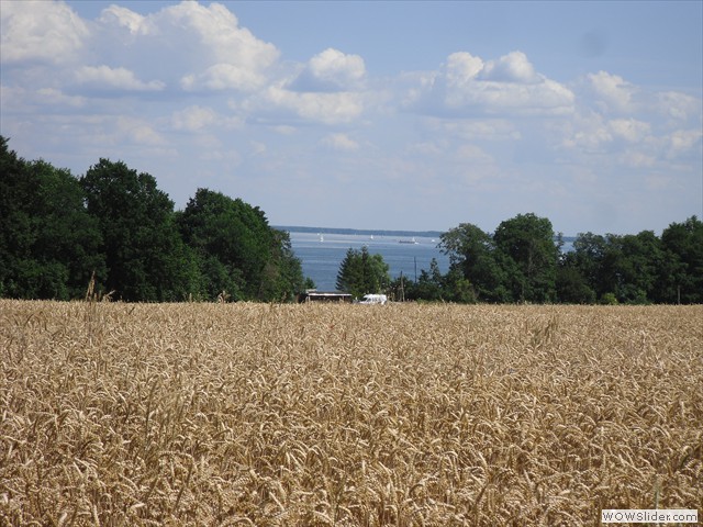 Müritzblick